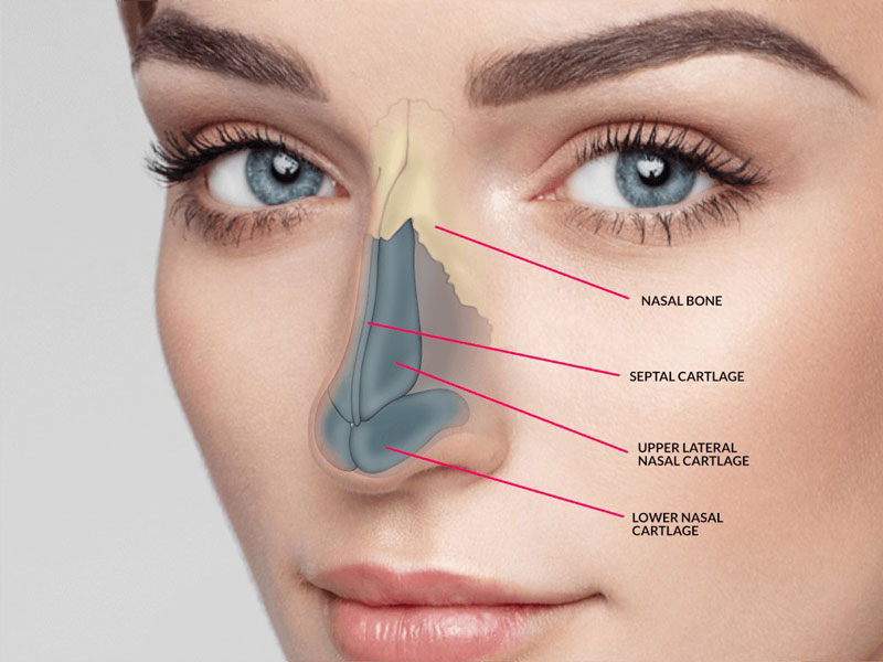 جراحة الأنف التجميلية ( أو رينوبلاستي ) 